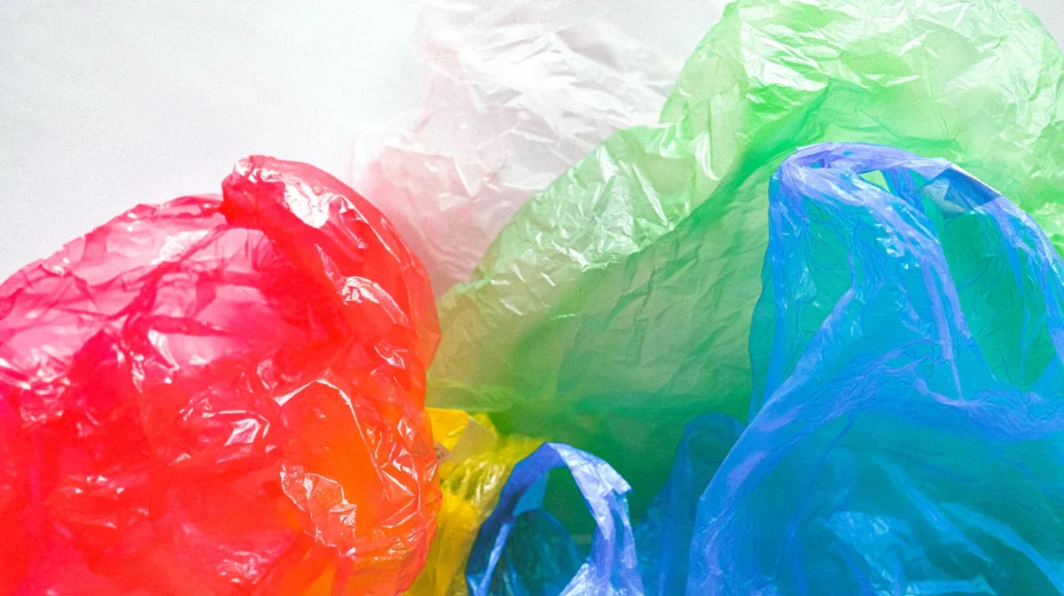 Polyethylene (PE) Vs Polypropylene (PP) Bags: What’s The Difference?